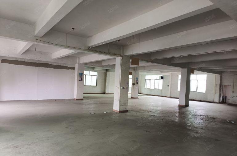 8元厂房招租！高埗新出环城路外标准厂房出租850平，四楼