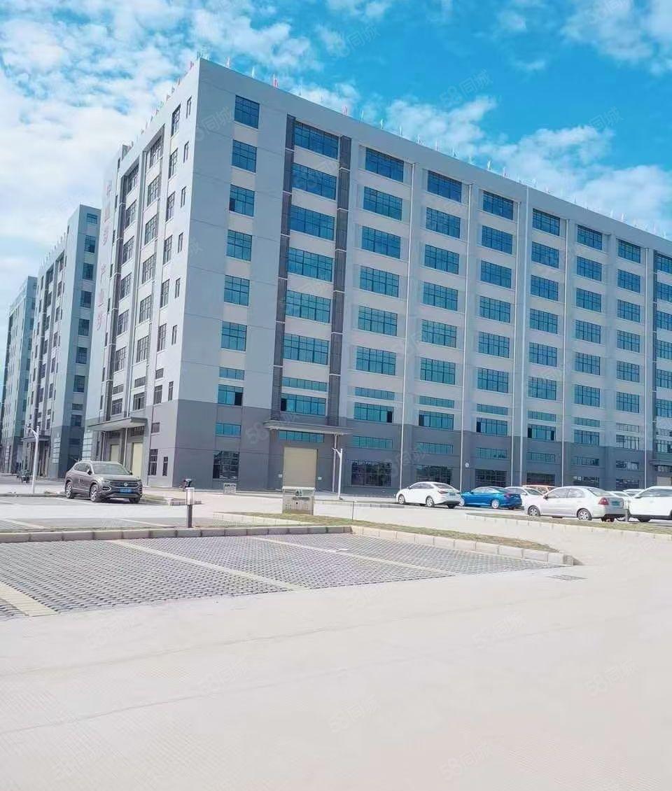 原房东！企石全新独门独院标准出租，证件齐全，可办环评 可分租