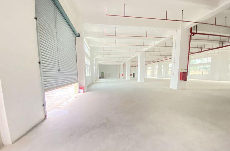 企石原房东全新标准一楼适合电子五金模具注塑CNC等等