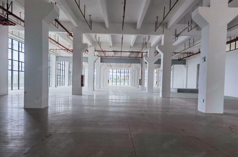 企石镇高新原房东厂房一楼7米高3300平米厂房出租