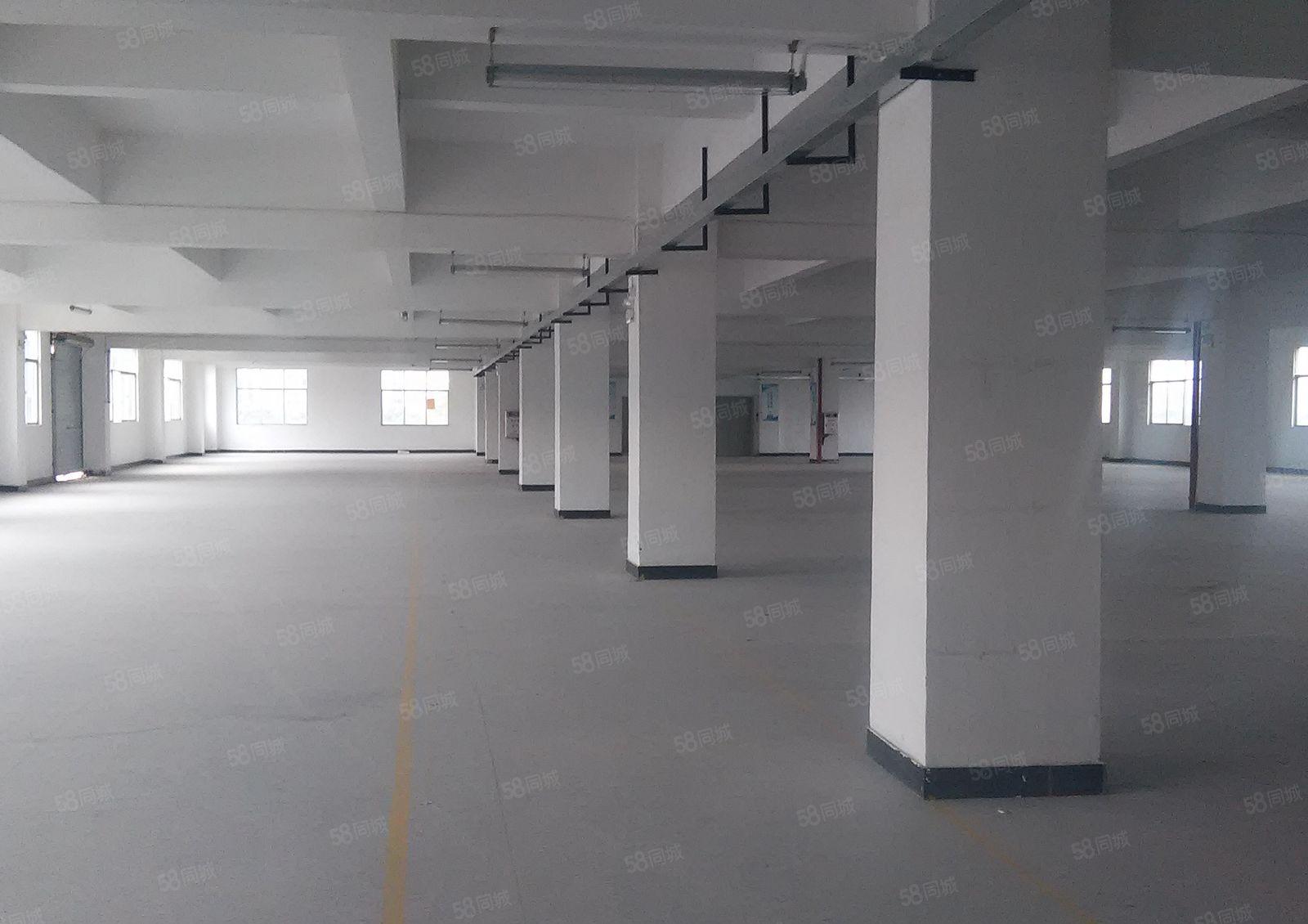 八元起租 横沥镇原房东全新独院厂房按需出租