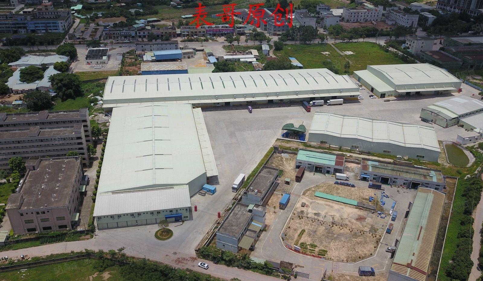 红本双证原房东单一层独院厂房出租