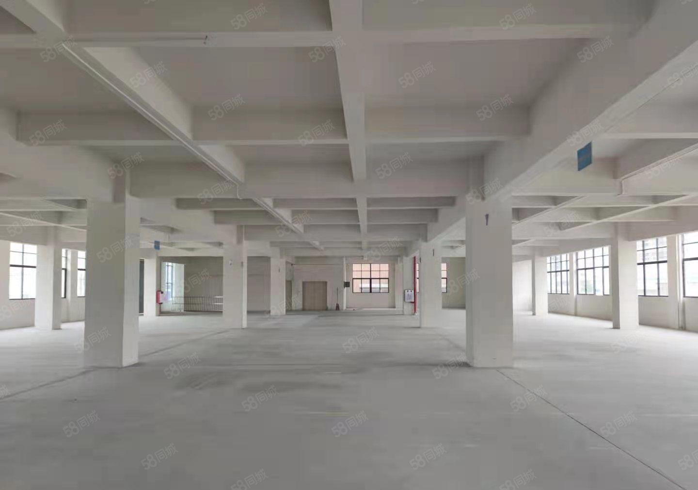 东莞企石东山永盛工业区楼上1500平米带精装修厂房低价出租