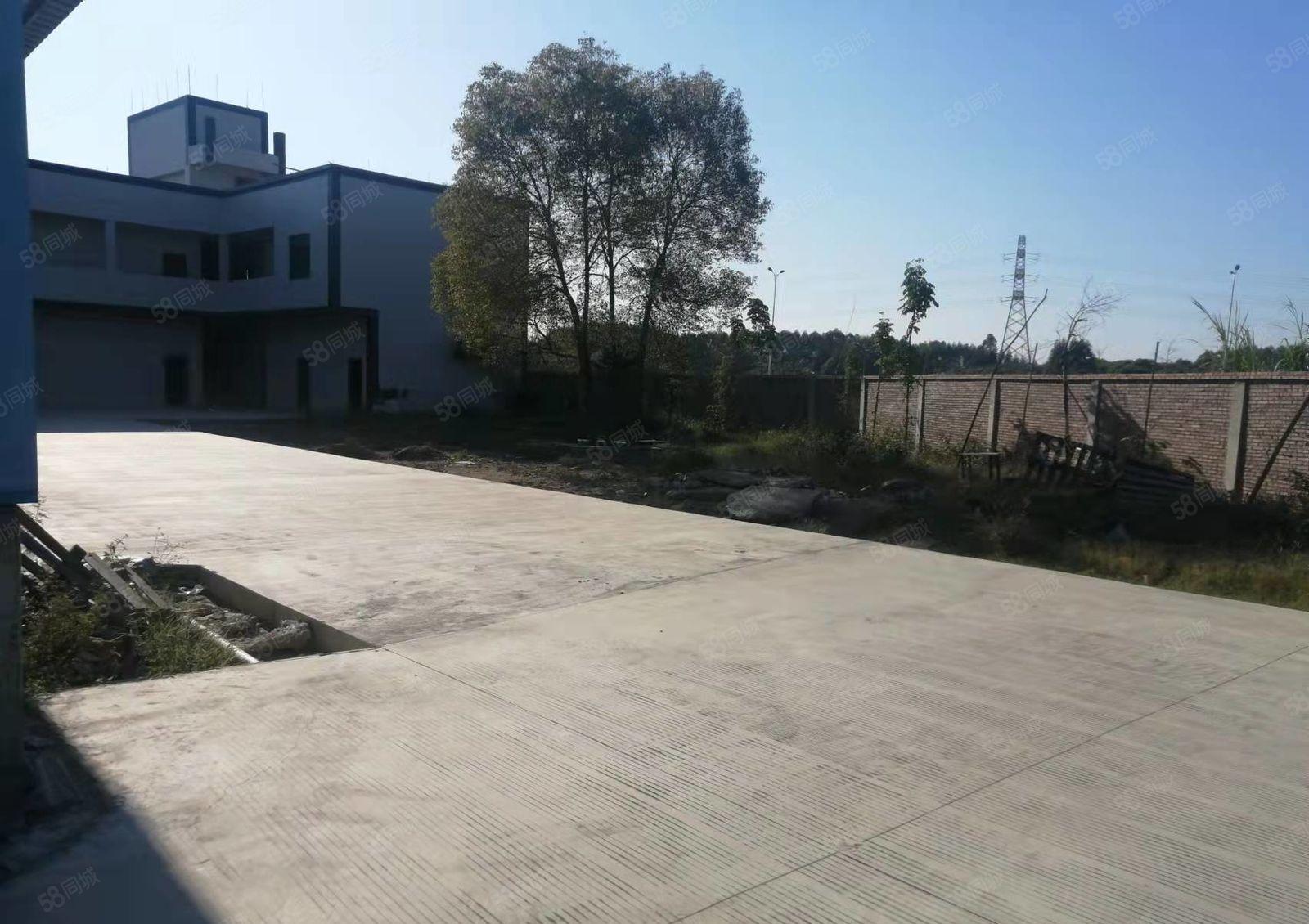 企石镇靠园洲新出原房东独院钢构厂房1600平方，周边无居民