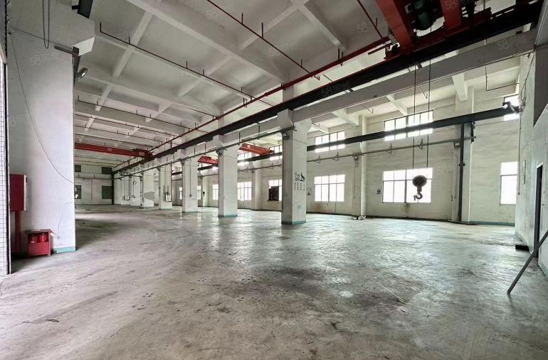 国有证独院只租15块现房一楼5.5米