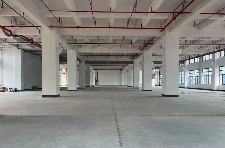 企石东山原房东独院标准厂房三层5600方低价出租