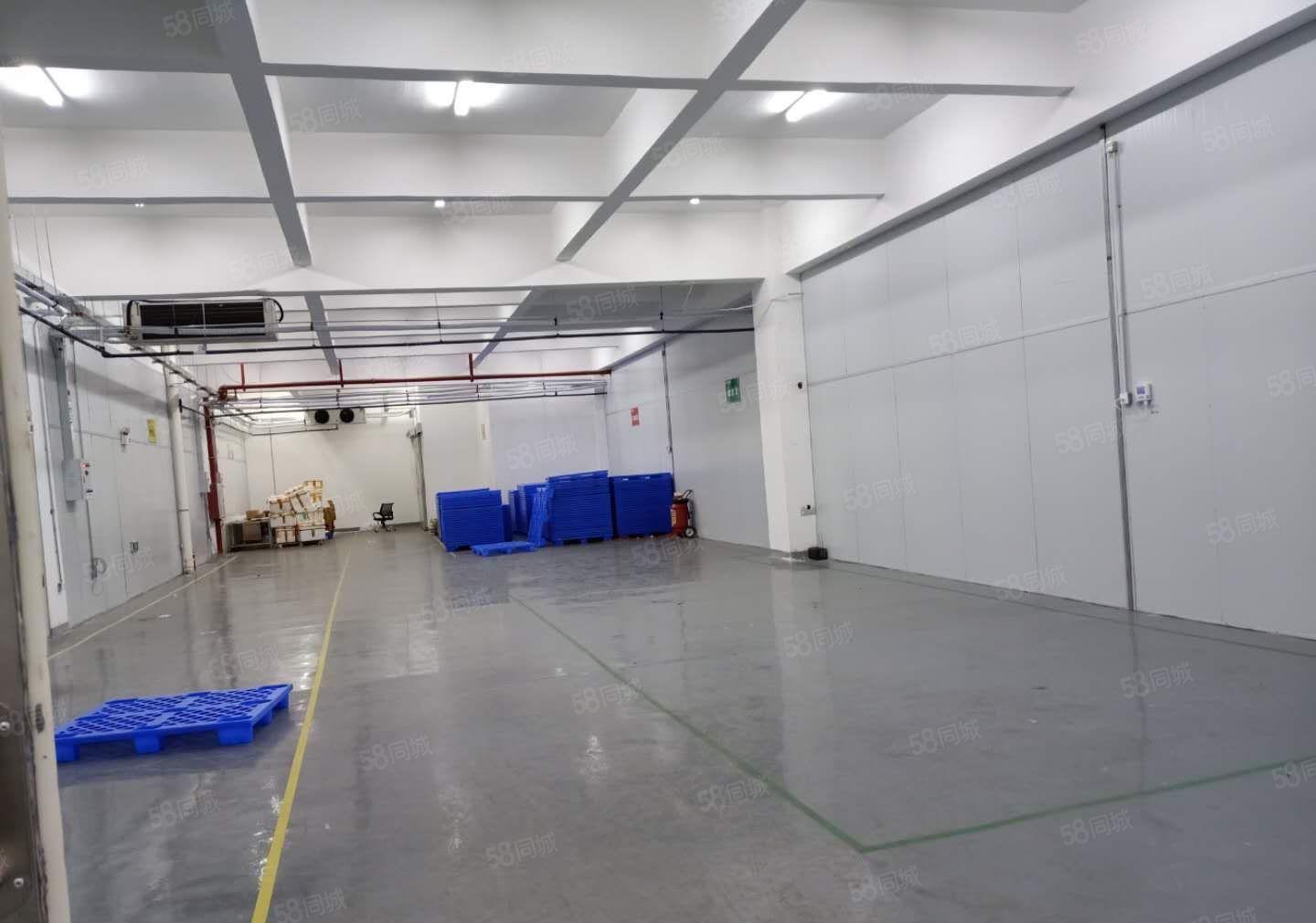 原房东！企石全新独门独院标准出租，证件齐全，可办环评 可分租