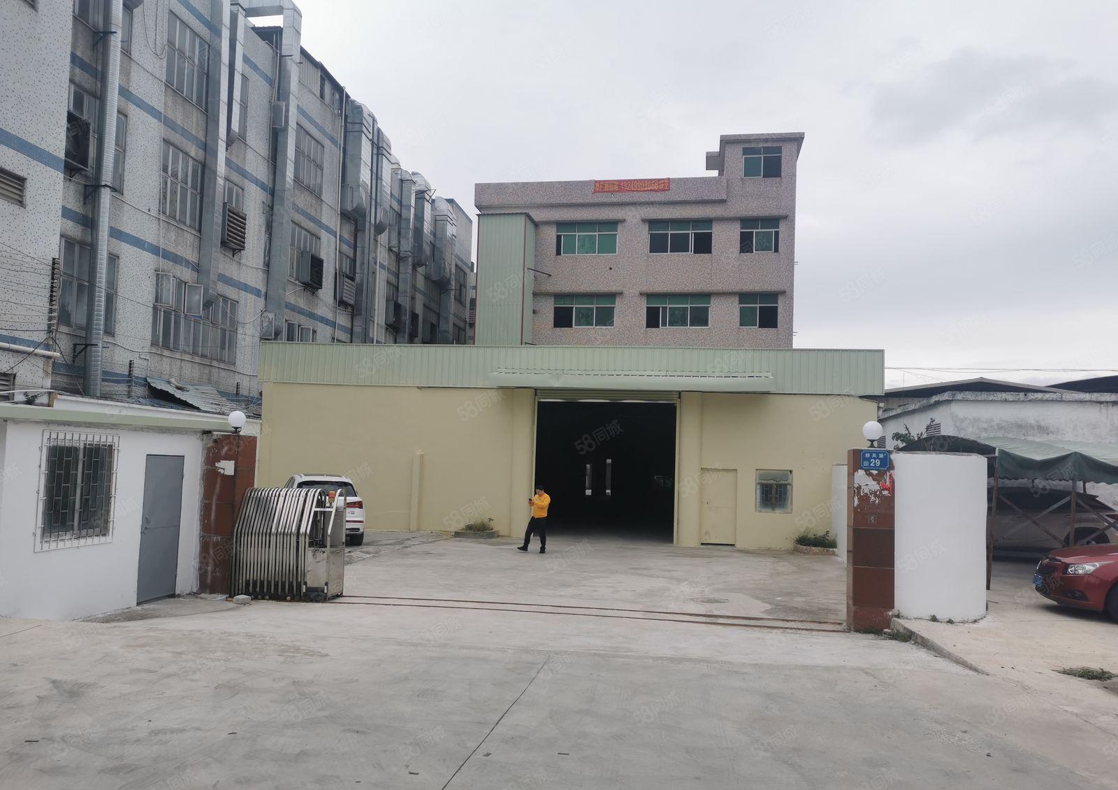 企石镇桥风路新出经典小独院标准加铁皮厂房出租实际面积工业用地