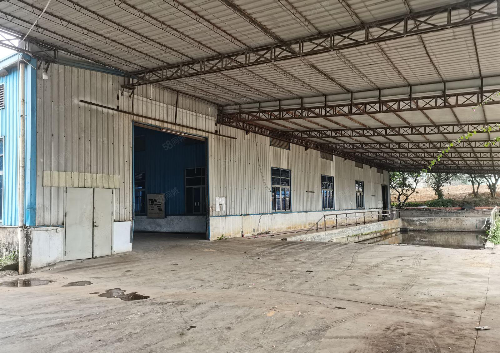 企石镇新空出独院钢构厂房1万平方，滴水7.5米，超大空地。