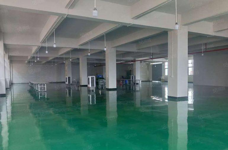 企石镇新出带地坪漆分租楼上第三层800平方价格实惠