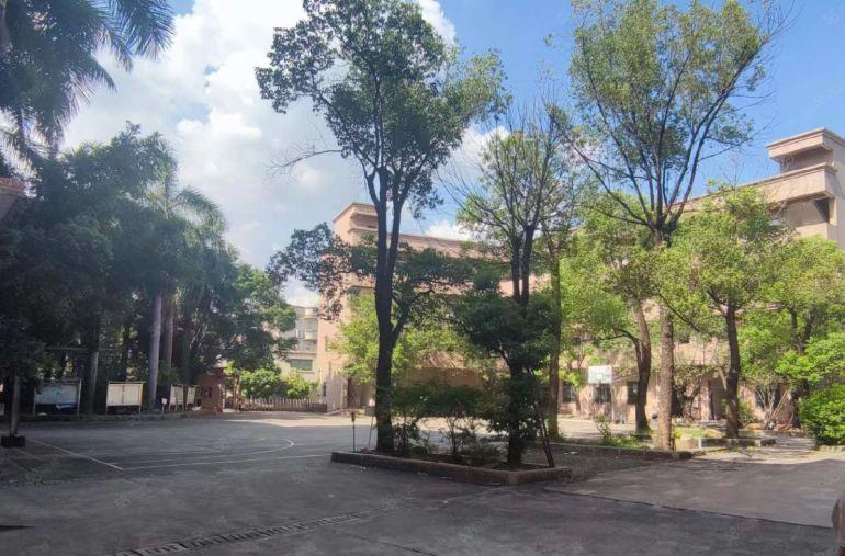 原房东花园式独立办公楼厂房出租