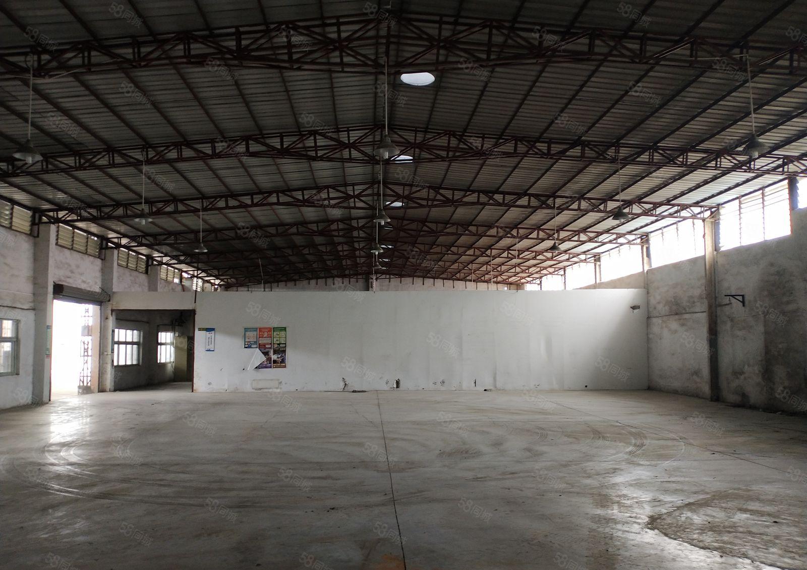 企石镇新空出砖墙到顶单一层钢结构厂房3600平方，交通便利