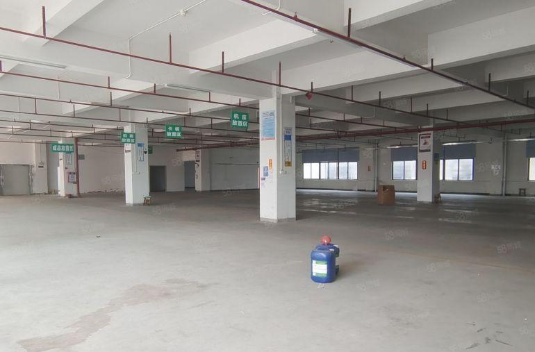 精装修办公室厂房出租工业区厂房