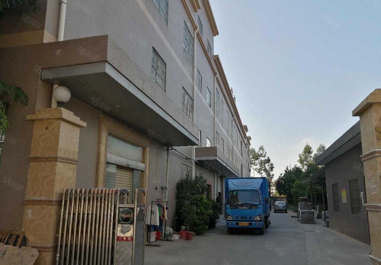 企石镇原房东标准独门独院厂房5000平（国有红本）带精装修