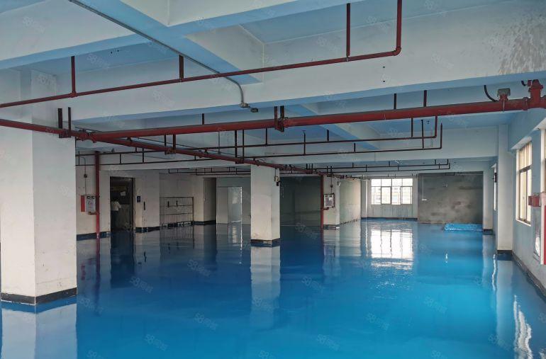 企石镇楼上小厂房800平米厂房出租全新地坪漆3吨货梯