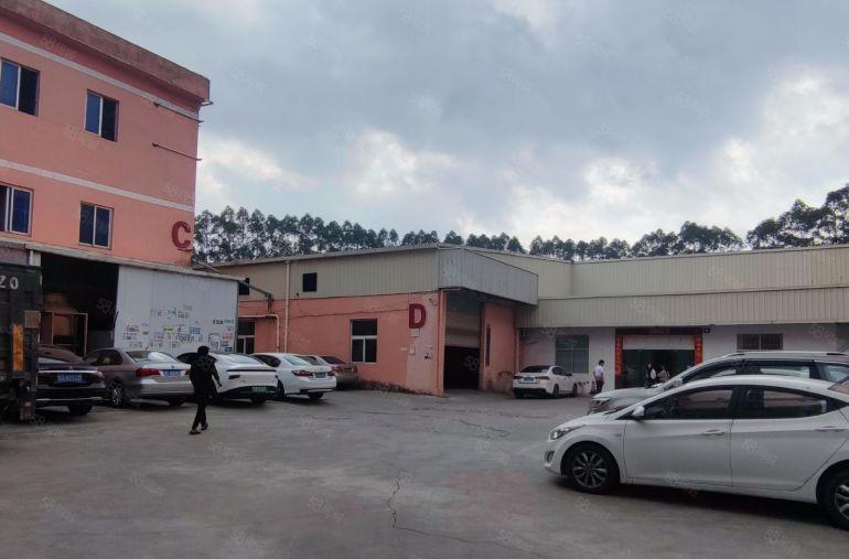 企石镇新出钢构厂房出租滴水7米正规工业用地环评秒过易招工