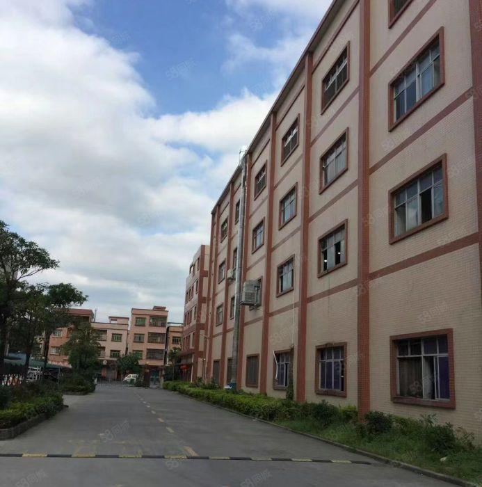 企石镇新出带地坪漆分租楼上第三层800平方价格实惠