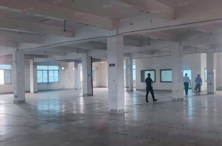 原房东实际面积厂房出租1200平方现成装修镇中心位置方便招工