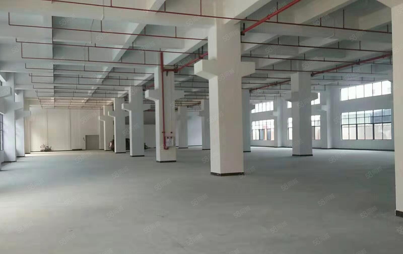 东莞企石镇东部快速附近独院标准厂房单层4000平可分1000