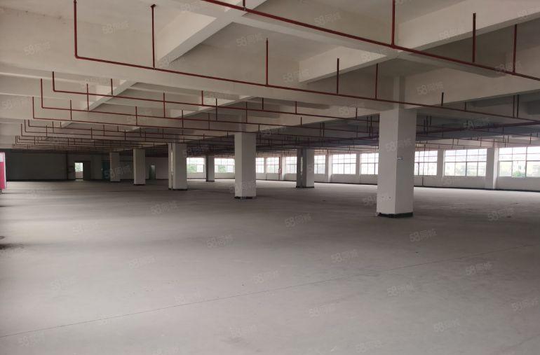 企石原房东独院13块13000平方6米高3吨电梯独院厂房出租