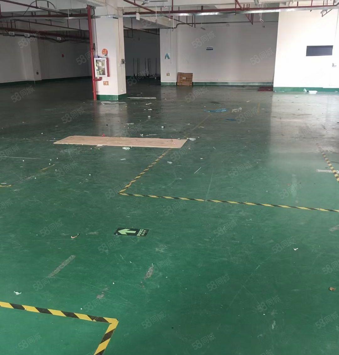 企石铁炉坑楼上带装修厂房1300平米