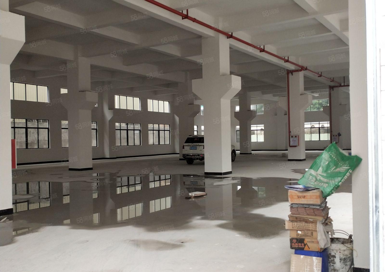 企石镇新出独门独院全新厂房一楼800平出租