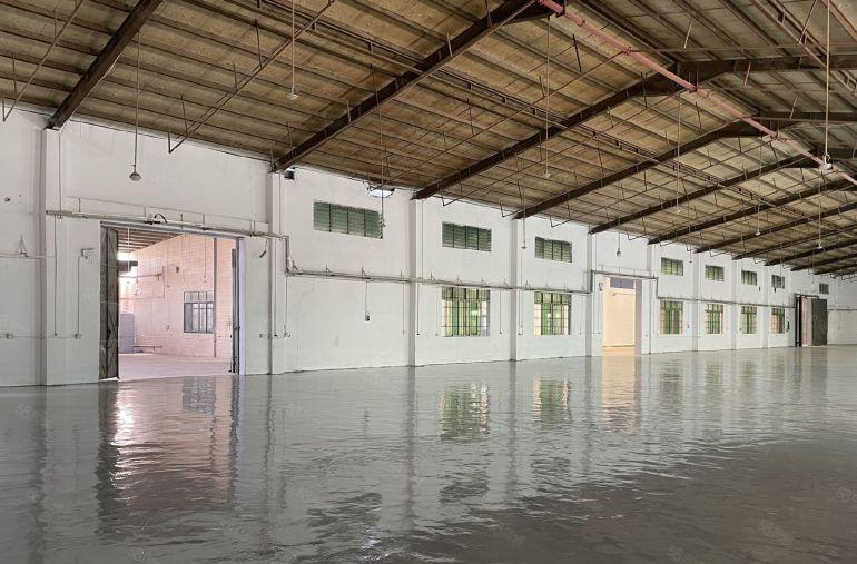 企石原房东单一层独院出租，500起分租，滴水9米，周边无居民