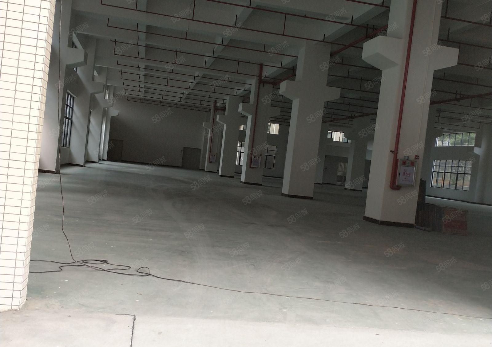 企石镇新出独门独院全新厂房一楼800平出租