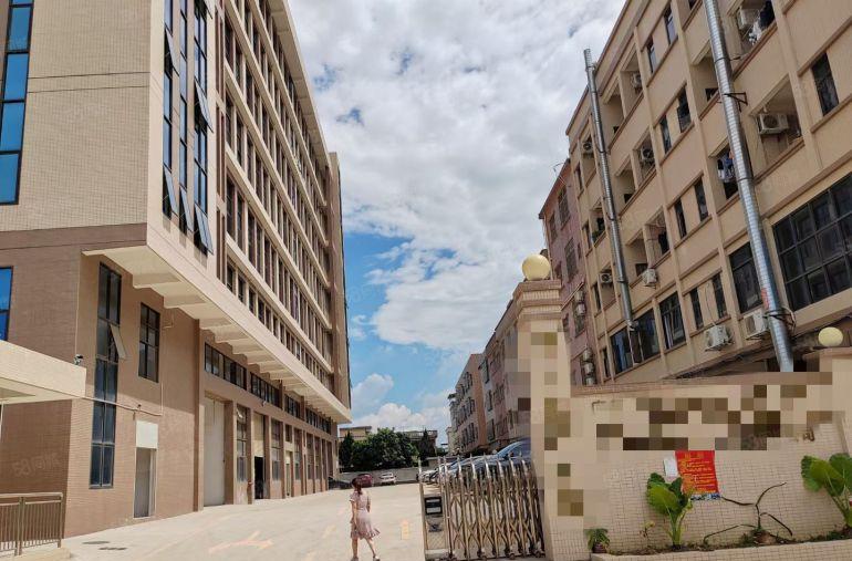 企石镇重工业标准精装修厂房水电齐全交通便利价格便宜