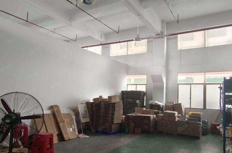 厂房出租企石工业区新出精装修厂房一楼出租