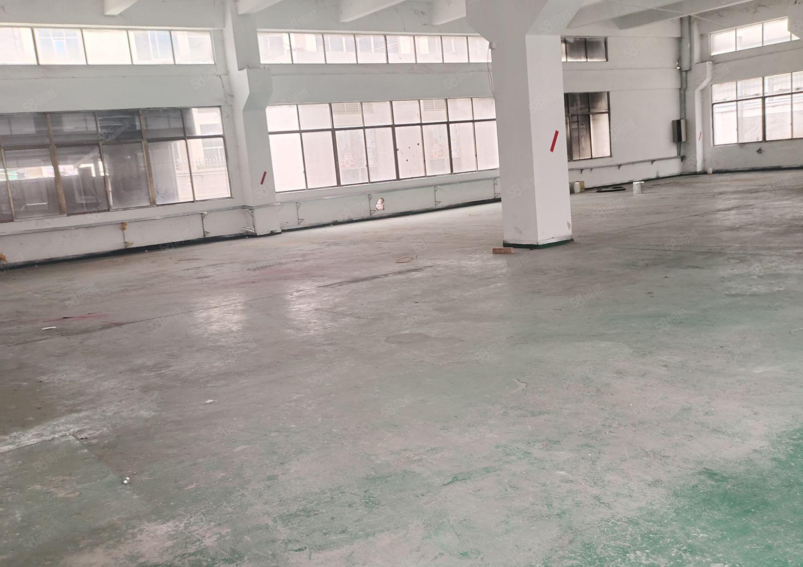 东莞市企石镇中心830平米6米高带牛角一楼厂房出租，有办公室