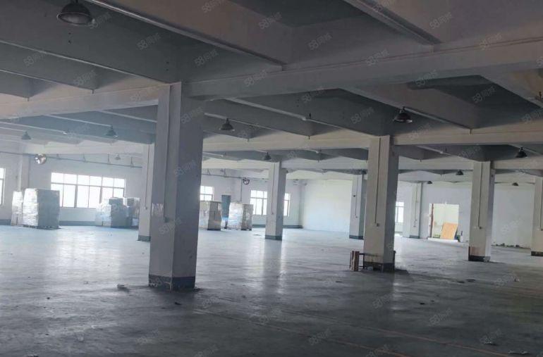 原房东花园式独立办公楼厂房出租