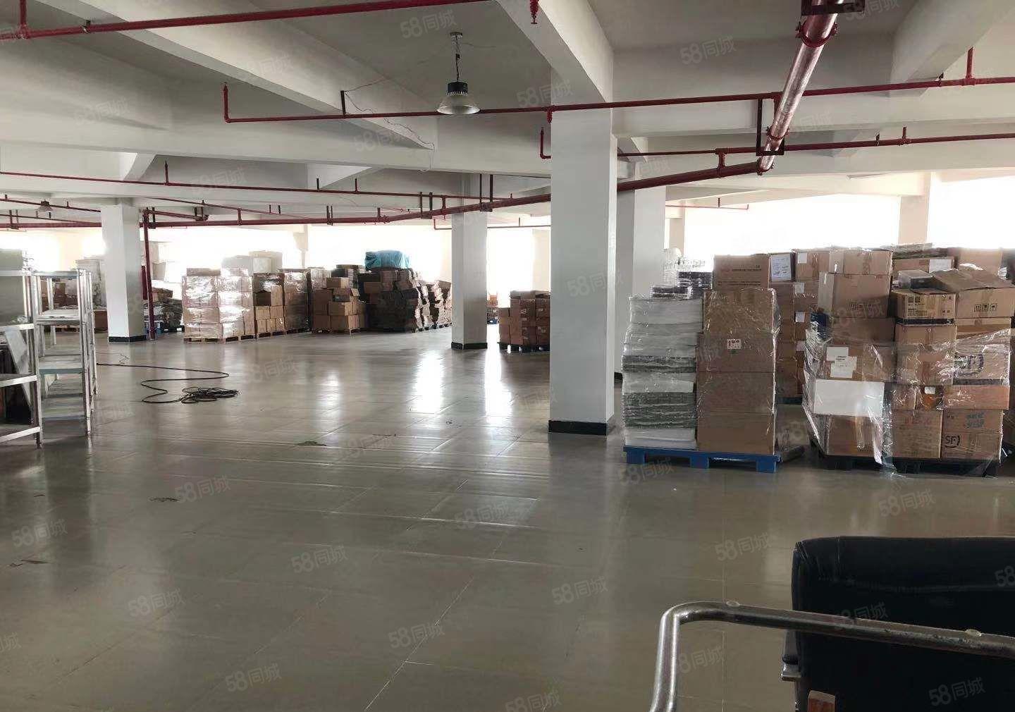 企石镇原房东标准独院厂房一楼3850平方，适合生产五金，模具