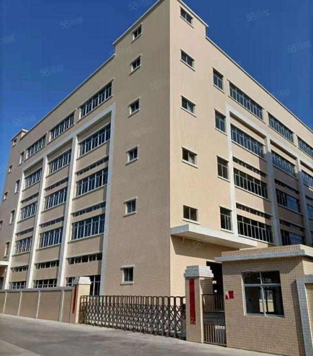 5元企石全新天然气，层高5.5米厂房出租