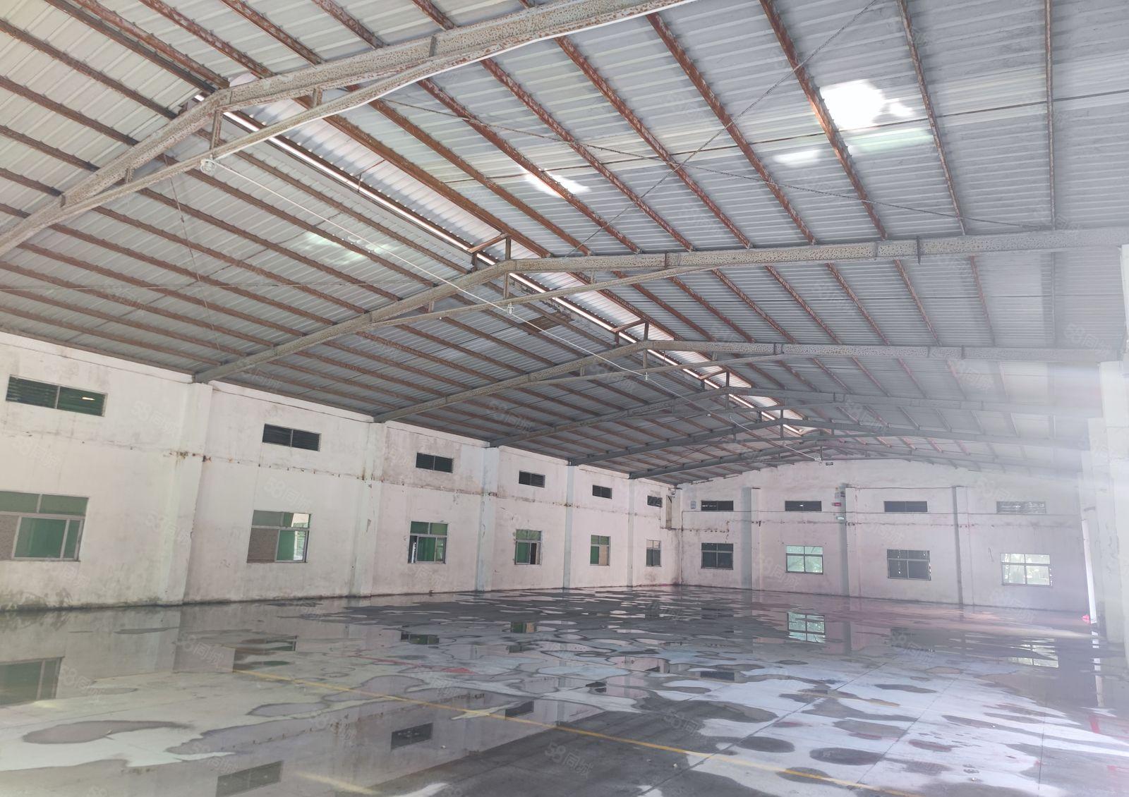 企石镇新出独院7米钢构实际面积21000出租红本厂房可租十年