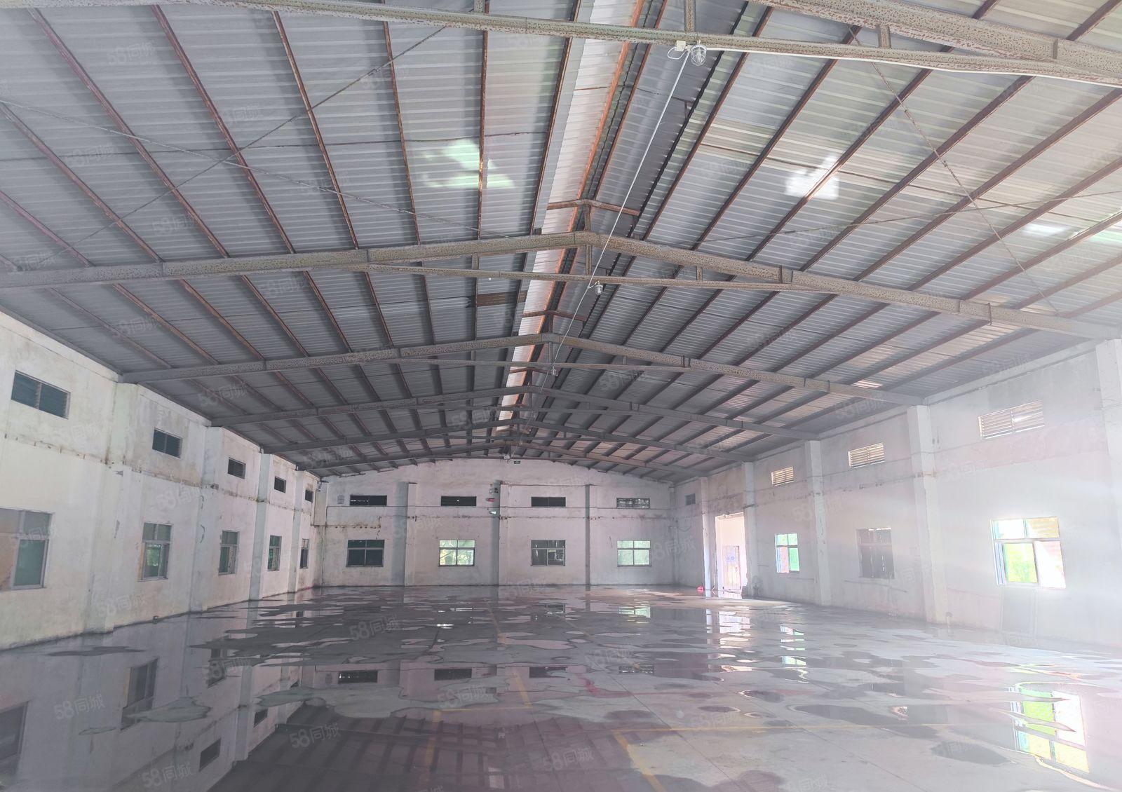 企石镇新出独院7米钢构实际面积21000出租红本厂房可租十年