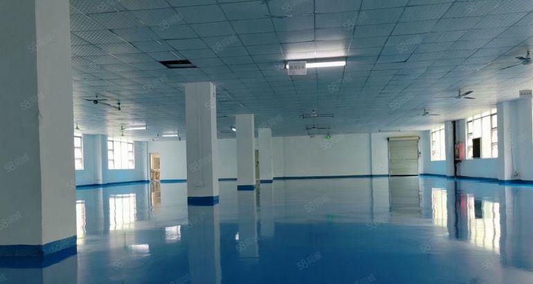 8元价格可谈原房东企石桥头1000平方精装修厂房出租可分租