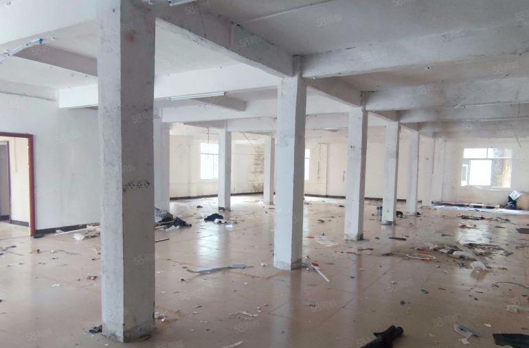 企石镇原房东小独院厂房出租水电齐全精装修办公室空地大工业用地