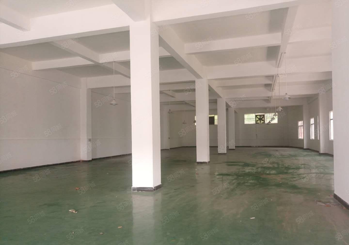 企石镇原房东标准独院厂房，可分租，位于成熟工业区，厂房规正