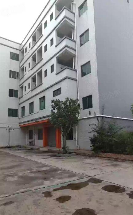 企石镇原房东独院分租一楼二楼各1300方低价出租