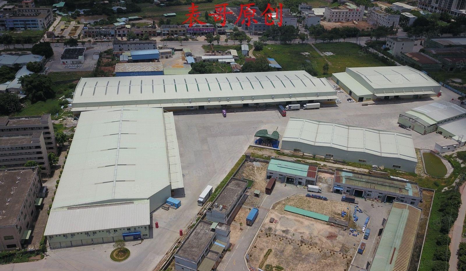 红本双证原房东单一层独院厂房出租