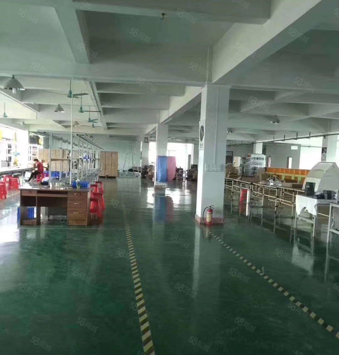 企石镇企石城区新出独院标准厂房6800平方形象好