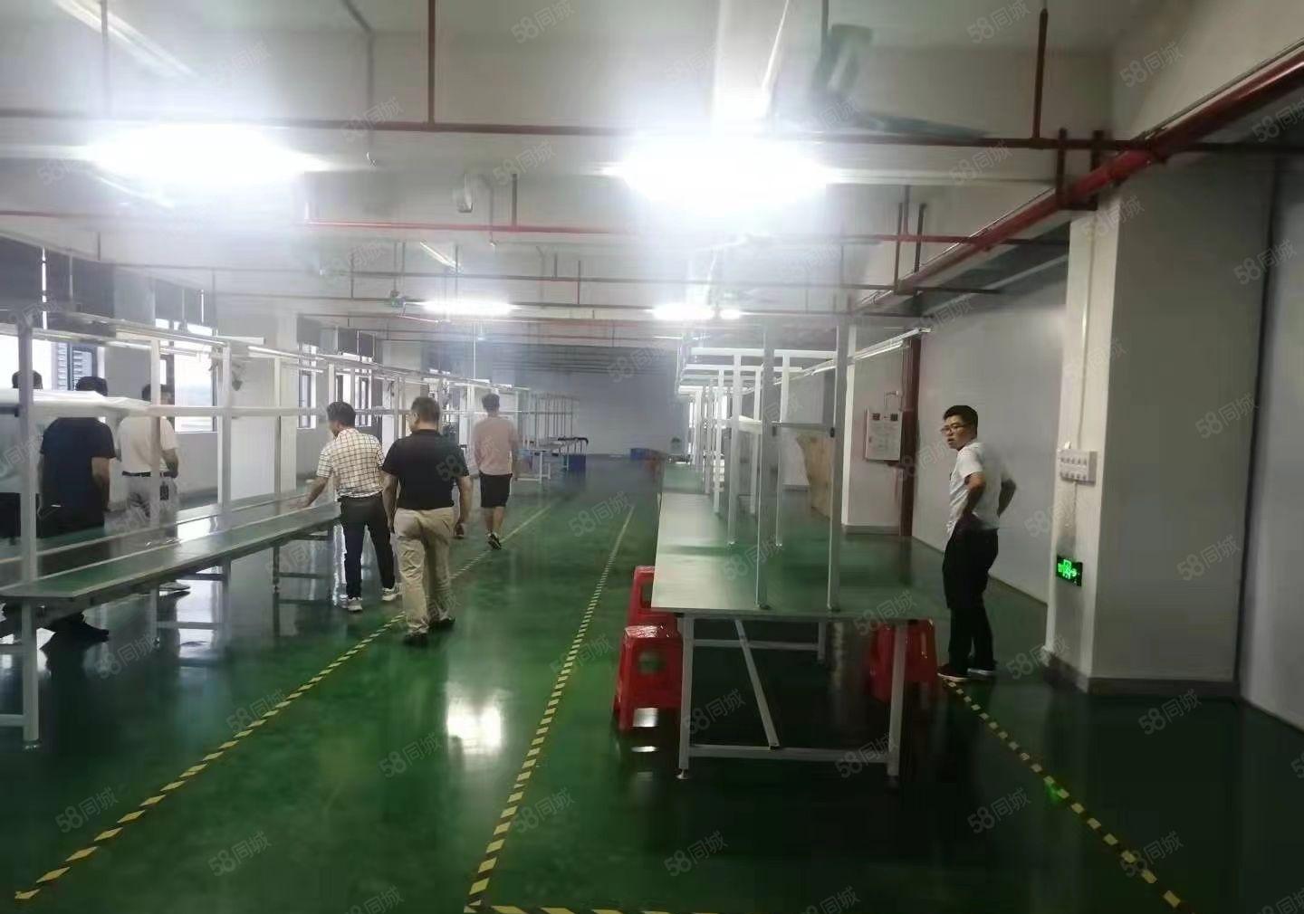 东莞企石镇原房东独院厂房3500平方，精装修，一手房东好招工