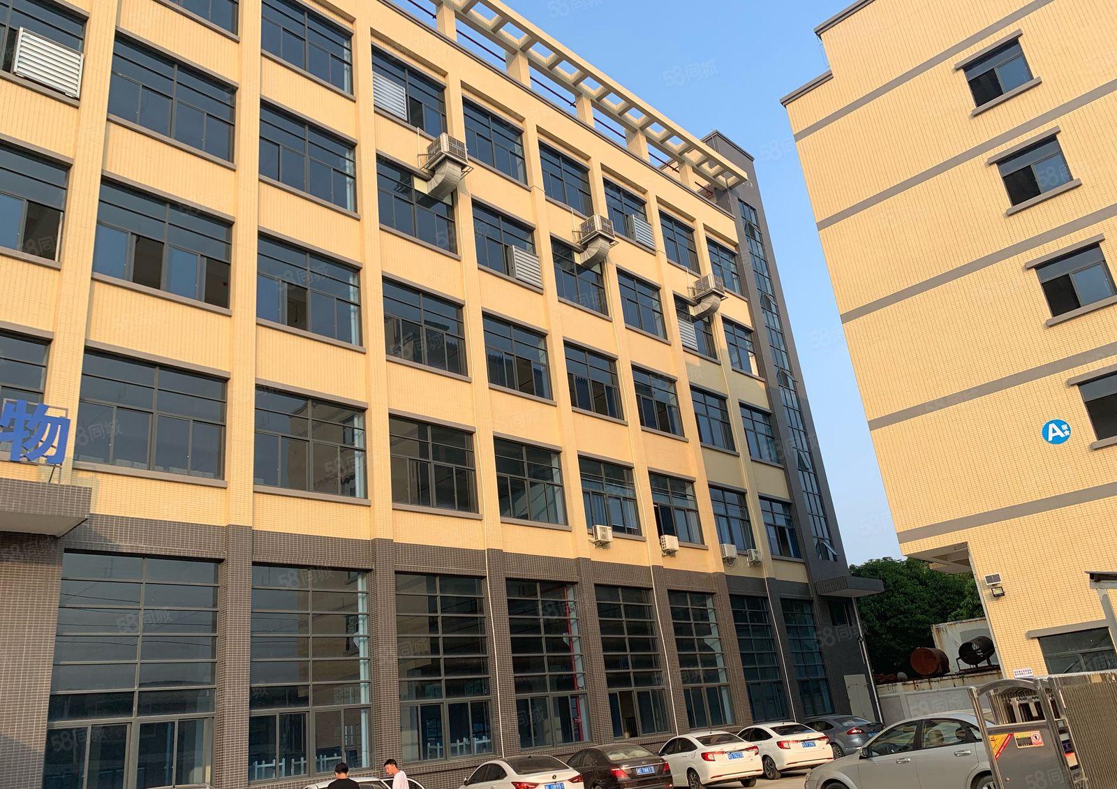 企石全新一楼6米高独院厂房5层10000平米厂房出租