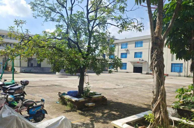 企石新出标准独院9800整租价格实惠可谈可办环评