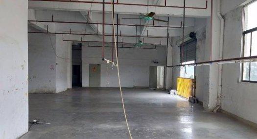 凤岗官井头楼上带消防喷淋水电齐全厂房出租700平