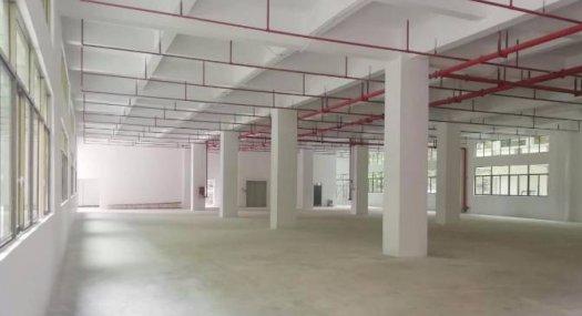 凤岗竹塘原房东独门独院 配电2000 带消防喷淋厂房出租