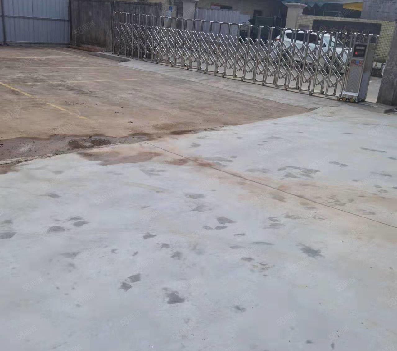 望牛墩单一层厂房，滴水7.5米