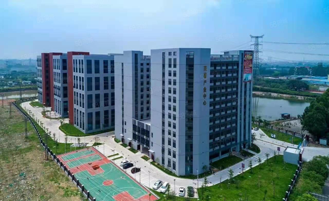 东莞市政府推进粤港澳大湾区新建重点项目