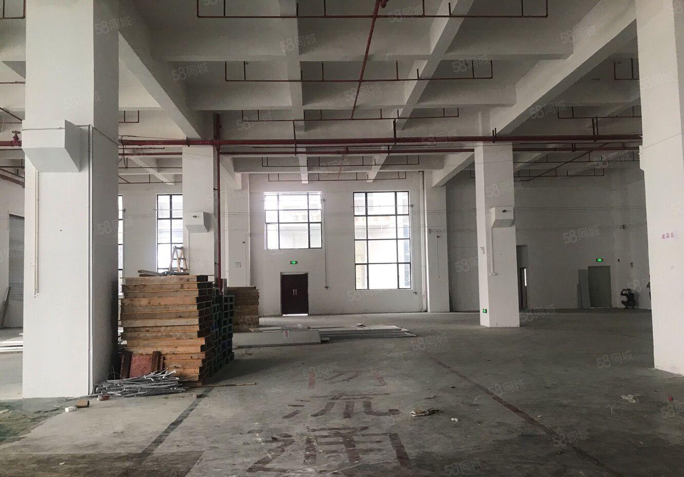 望牛墩标准厂房一楼带牛角1600平方独院厂房出租单一层